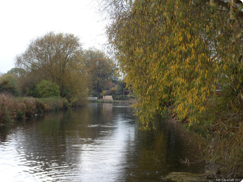 SAM_0002 Birstall Moorings