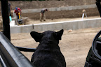 I wonder what Martha is going to put in this new storage unit?  I guess we'll just have to wait and see!