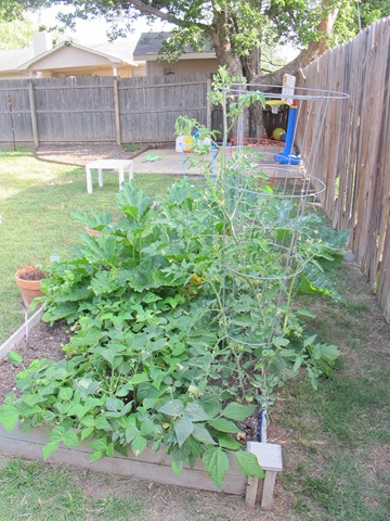 [IMG_3425%255B6%255D.jpg]