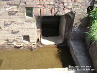 dsc06888.jpg