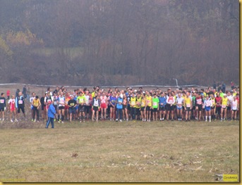 IMG_1485 IMG_1485