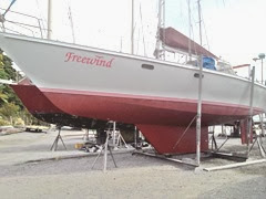 Freewind haukout 2013