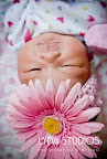 pretty in pink
