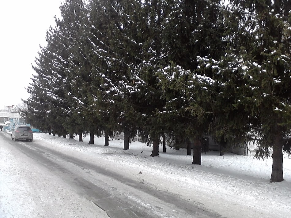 P260211_12.15.jpg
