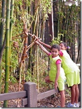 9.11.12-bugsland-can-you-spot-the-st[1]