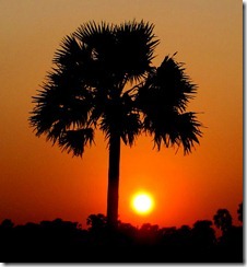 IMG_0628 IMG_0628