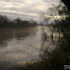 dsc07371.jpg