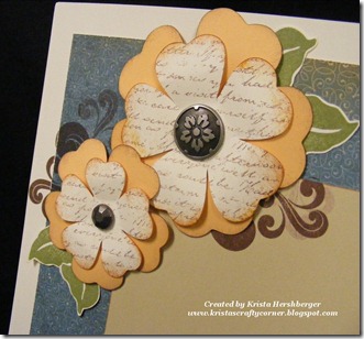 Florentine Summer layout flower close up Florentine Summer layout flower close up