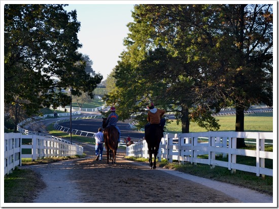 Keeneland Fall 2013 | Photo Lisa Porter