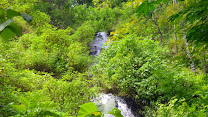 Curug Sidoharjo – Air Terjun nan Indah di Samigaluh Kulon Progo