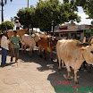 DesfiledeCarrosdeBois2011-036.jpg