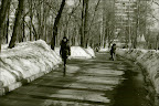 33-w.jpg