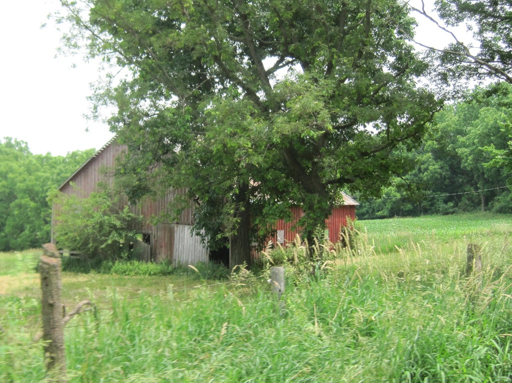 [IMG_7260%255B4%255D.jpg]