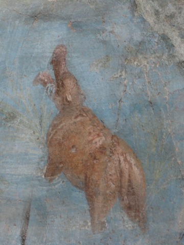 [SB%2520Bath%2520Hippo%255B2%255D.jpg]
