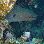 DSC00156.JPG