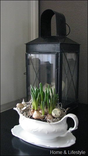 Home & Lifestyle Home & Lifestyle