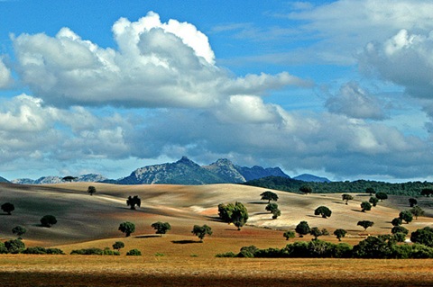 Andalusian-landscape