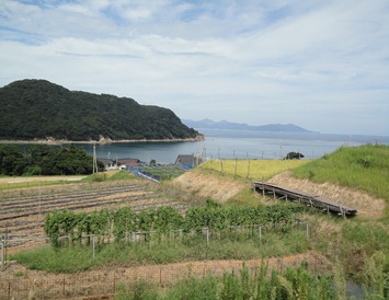 DSC00883 DSC00883