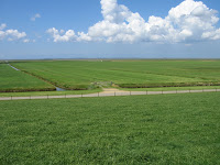 Friesland 2006