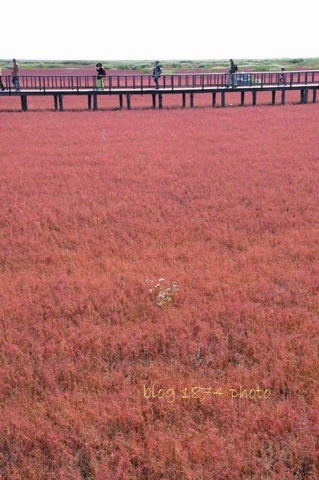 [SYG_4264%255B3%255D.jpg]