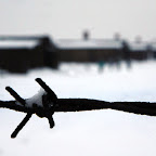 giornata_della_memoria_2009.jpg