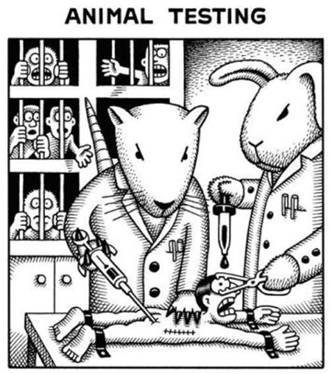 animal testing animal testing