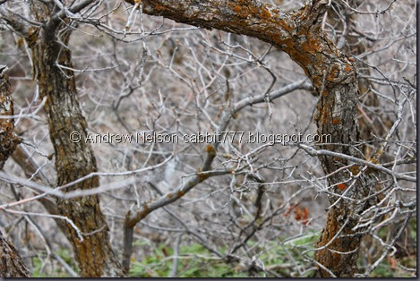 IMG_2480 IMG_2480