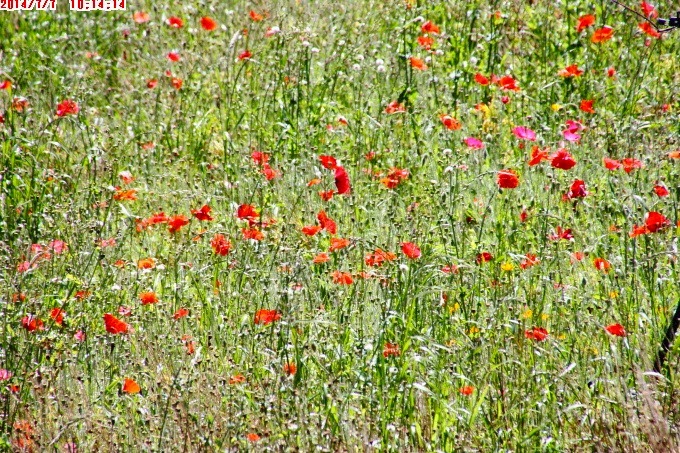 2014_0707_101414 2014_0707_101414