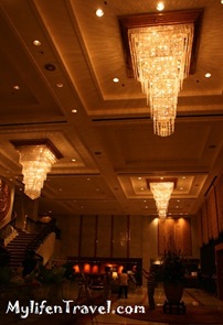 IMG_8934 IMG_8934