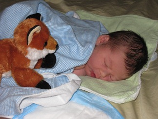 IMG_3705 IMG_3705