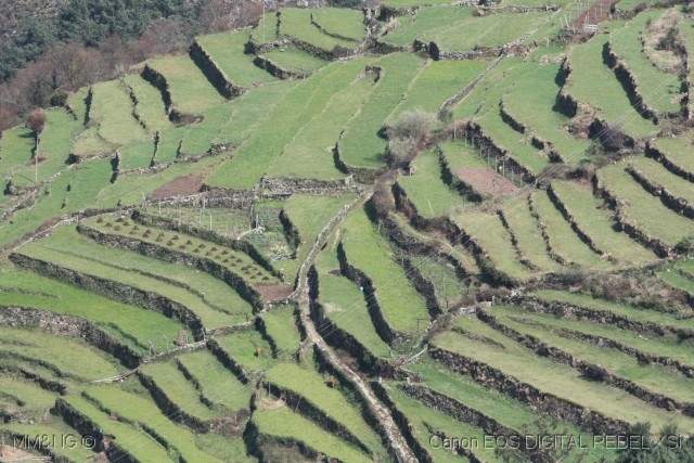 [%255B26%255D_Socalcos%25281%2529%255B11%255D.jpg]