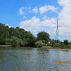 IMG_5567.JPG
