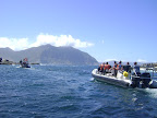DSC08562.JPG