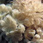 IMG_9689.JPG