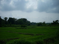 DSCN0045.JPG