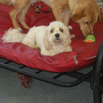 DSCN5078.jpg