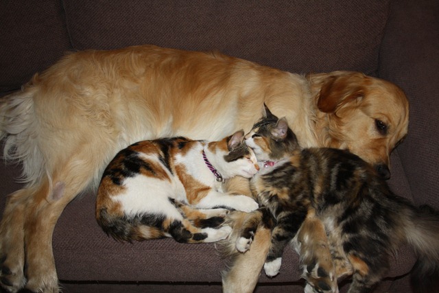 [027%255B3%255D.jpg]