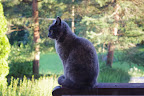 IMGP0032.JPG
