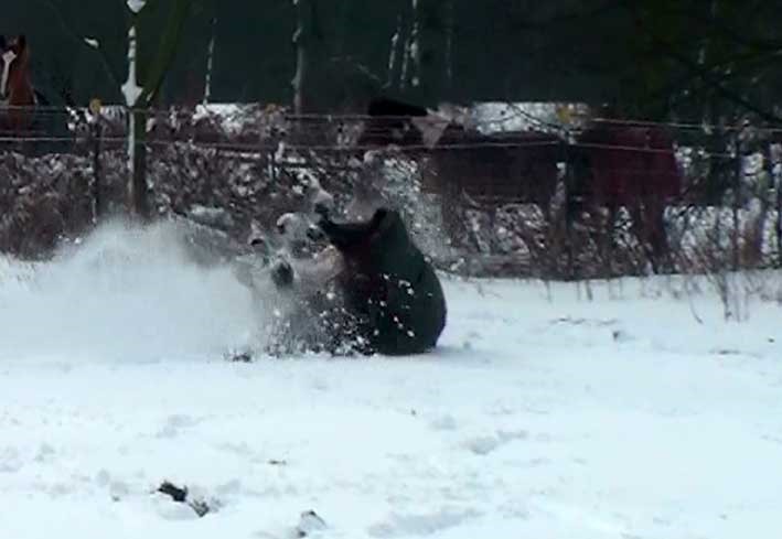 [Schnee16%255B2%255D.jpg]