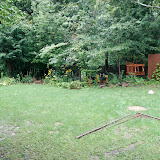 The view from our screen porch. The creek is normally out there a ways ... 50 yards or so beyond the fence down below.