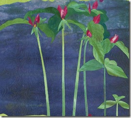Frieda_Anderson_Trilliums Frieda_Anderson_Trilliums