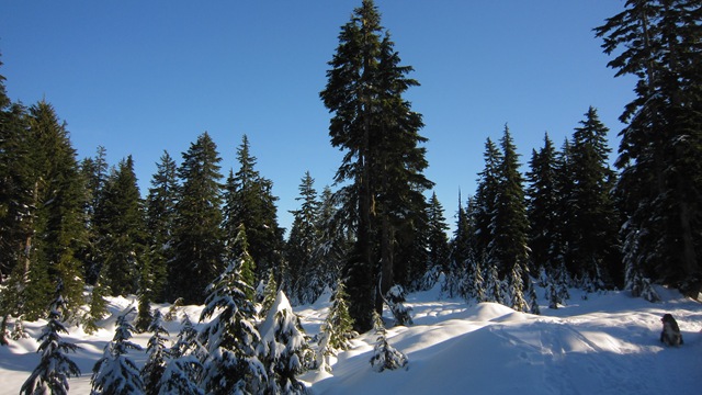 [IMG_6440%255B3%255D.jpg]