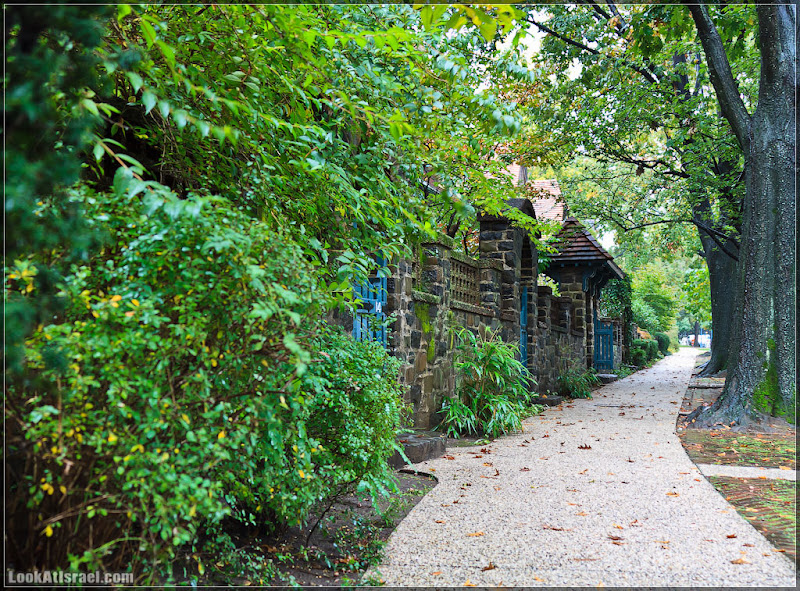 Америка 2.0 / Нью Йорк   Forest Hills (foto america  фото природа дождь и снег new york  20111019 usa ny forest hills 012 9070)