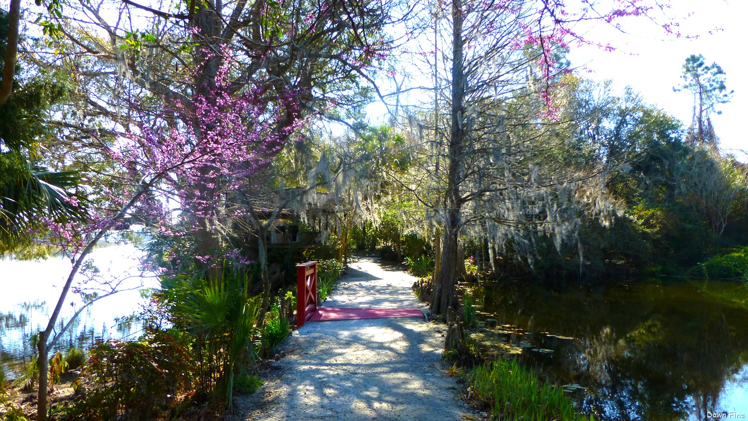 [Magnolia%2520Plantation_048%255B10%255D.jpg]