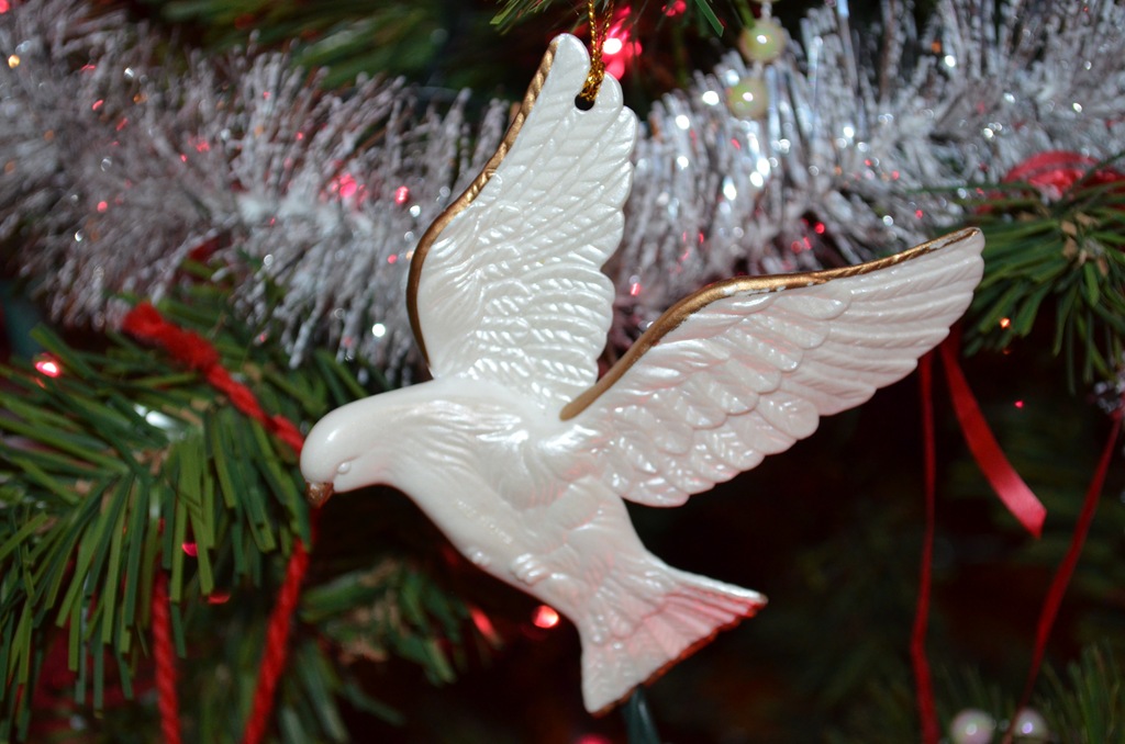 [DSC_0052%255B7%255D.jpg]