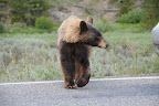 DSC_2184.JPG