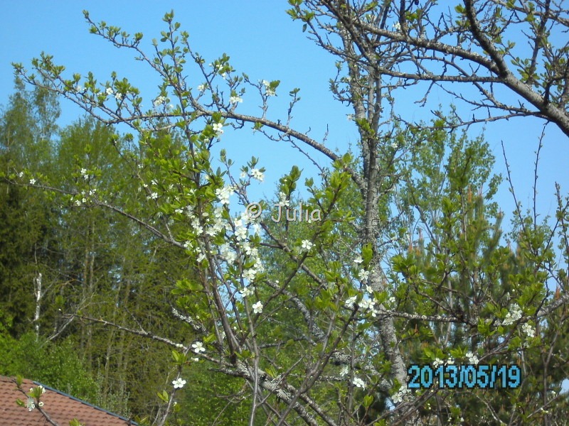 [PICT1197%255B10%255D.jpg]