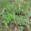 DSCN5688.JPG