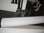 Sharkey, this is sisal carpeting!