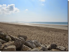 IMG_8546 IMG_8546